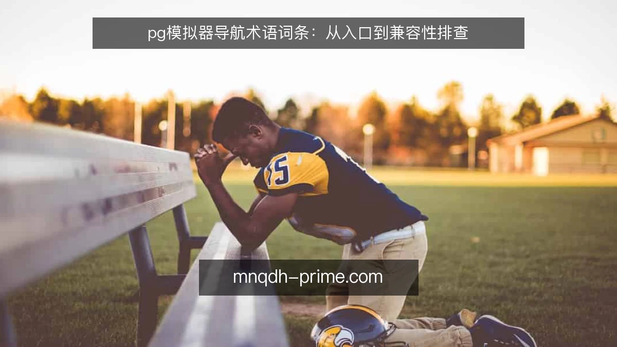 pg模拟器导航术语词条:从入口到兼容性排查