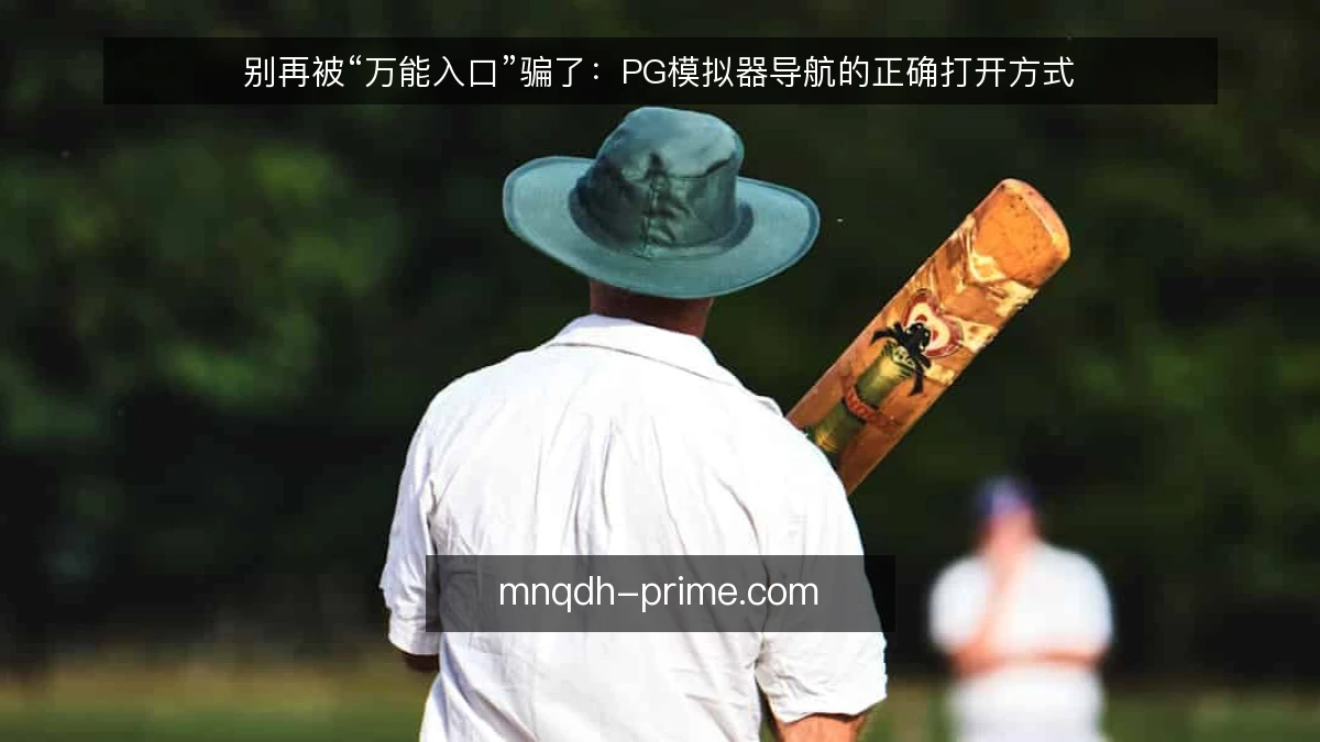别再被“万能入口”骗了：PG模拟器导航的正确打开方式