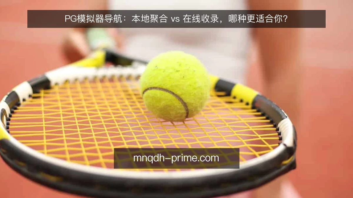 PG模拟器导航：本地聚合 vs 在线收录，哪种更适合你？