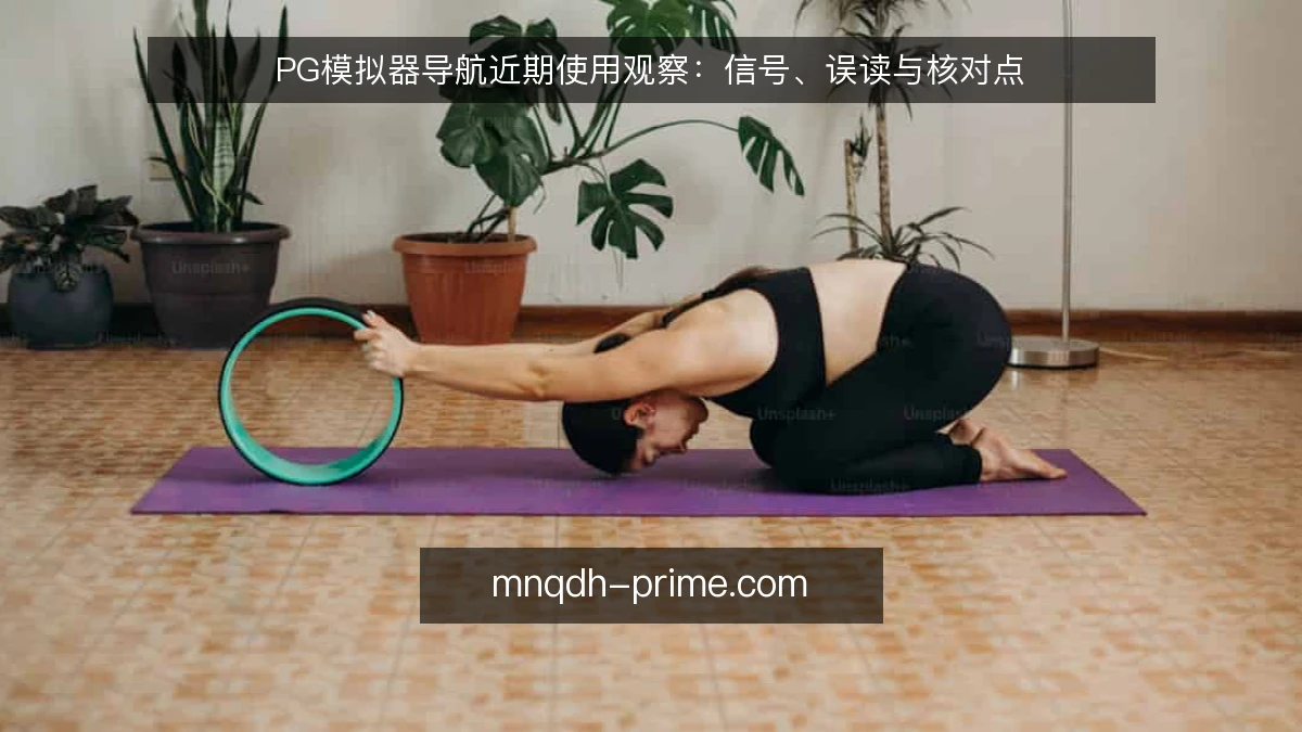 PG模拟器导航近期使用观察：信号、误读与核对点