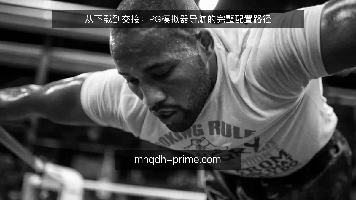 从下载到交接：PG模拟器导航的完整配置路径